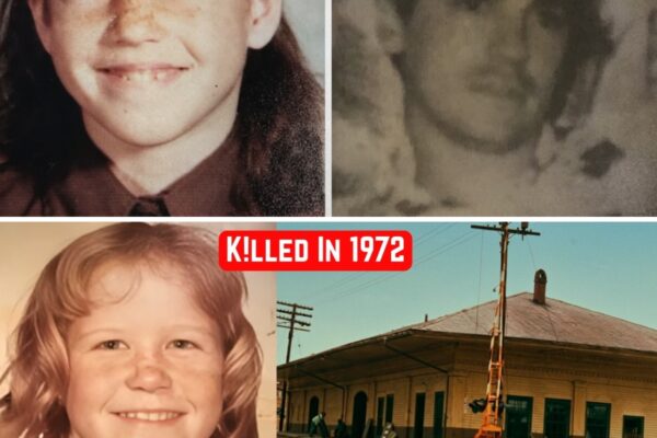 The Murder That Remained Frozen for 50 Years (Until the DNA Spoke).