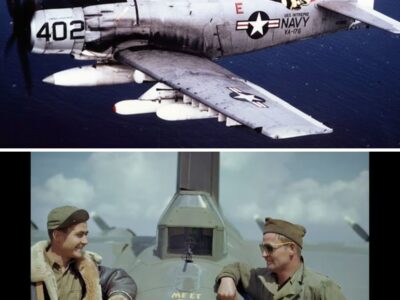 The HORRORS of the A-1 Skyraider in Vietnam 