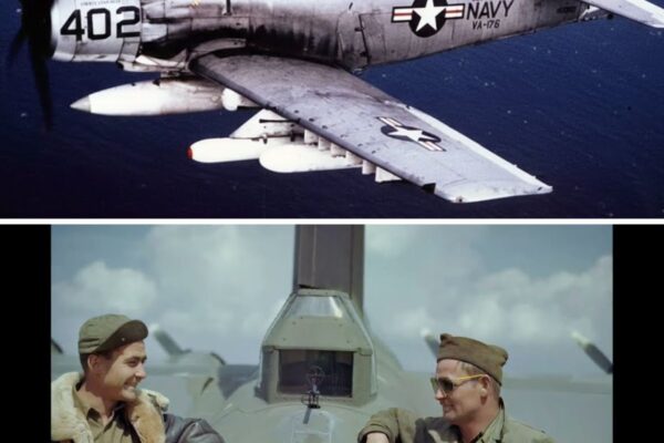 The HORRORS of the A-1 Skyraider in Vietnam 