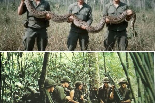Vietnam’s most FEARED Things By US Soldiers!