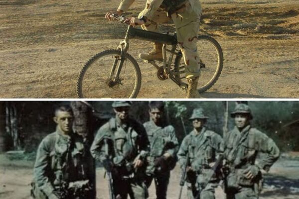 “We Already Took It” — The Australian SAS Raid That Made a $100M US Assault Plan Look Stupid