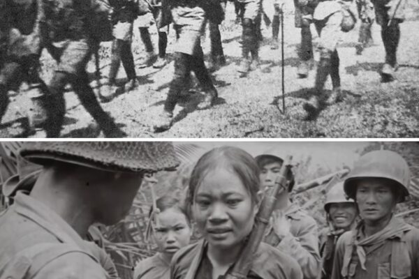 They Captured SASR Aboriginal Tracker—2 Hours Later, Entire VC Platoon Was Found “Decorating” Trees