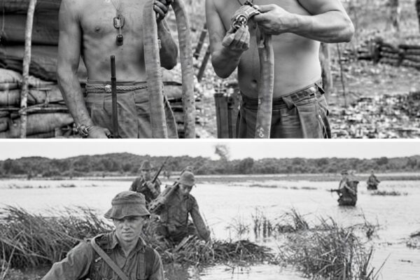 The “Snake Eaters” of Nui Dat: Why US Green Berets Refused To Share Rations With The Australian SAS