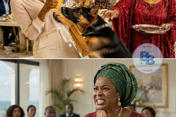 Her Mother in Law Handed Her a Glass of Juice—But Her Dog Wouldn’t Let Her Drink It…
