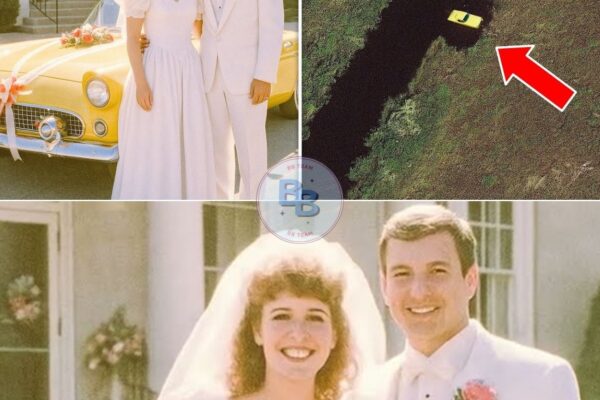 Couple Vanished After Their Wedding in 1985 — 12 Years Later a Satellite Image Reveals This…