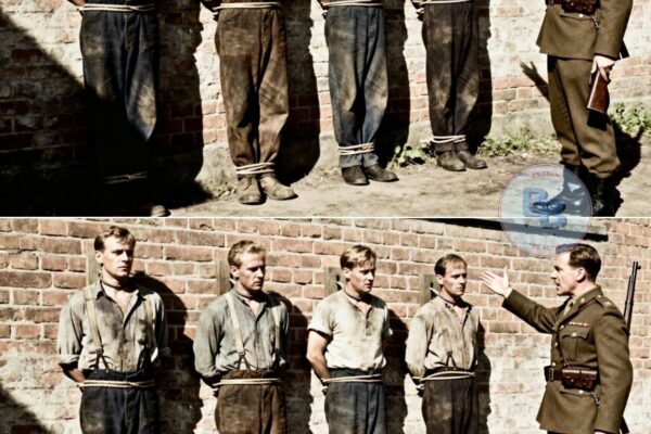 Captured German Cooks Stunned When Americans Asked Them to Feed German “Comfort Women” POWs