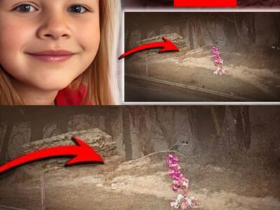 One of The Most HEARTBREAKING and STRANGE Cases You’ll Ever See.