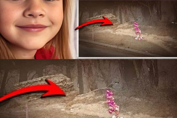 One of The Most HEARTBREAKING and STRANGE Cases You’ll Ever See.