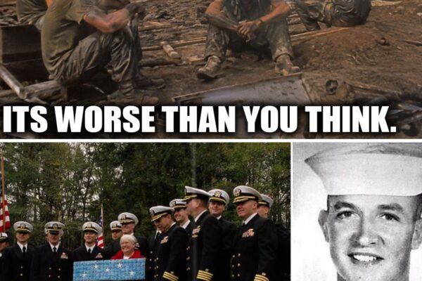 The TRUE HORRORS of Seabees Battalions In Vietnam 