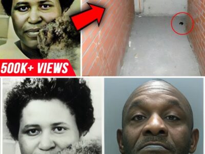 Cold Case SOLVED After 36 Years By Chewing Gum | Nova Welsh Case… | Mysterious Hook 