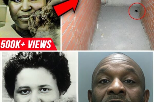 Cold Case SOLVED After 36 Years By Chewing Gum | Nova Welsh Case… | Mysterious Hook 