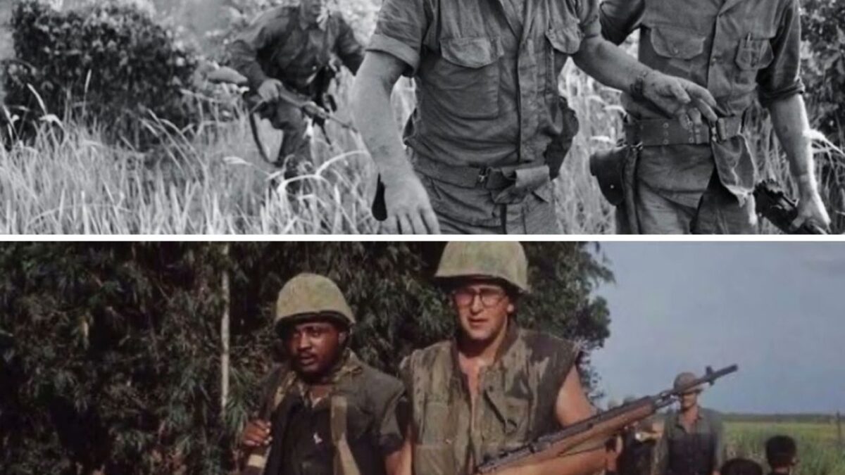 The Vietnam War Part 7 – Operation Starlite, August 1965 – When Marines Walked Into a Deadly Ambush.
