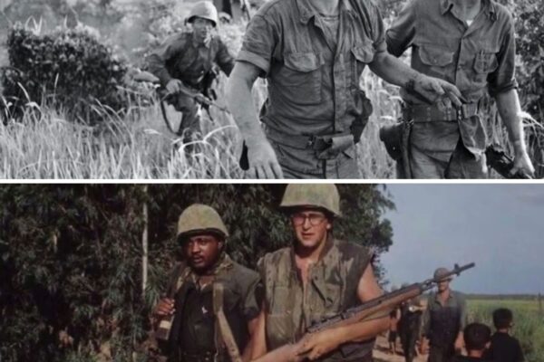 The Vietnam War Part 7 – Operation Starlite, August 1965 – When Marines Walked Into a Deadly Ambush.