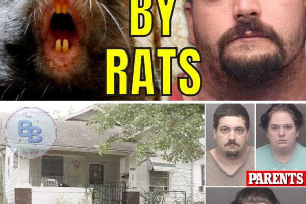 Dad Who Fed Baby to Rats: “My Anger Goes From Zero to Prison”