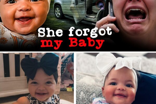 Babysitter Left Her Daughter In A 133° Car For Five Hours | Ariya Paige Case