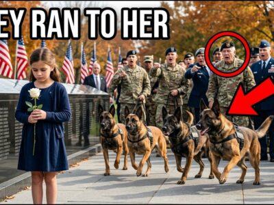 Nobody Noticed the Quiet Girl Standing Alone at the Memorial, Blending Into the Crowd as Everyone Remembered the Fallen — Until the K9s Suddenly Ran Toward Her and Left Everyone Speechless. The unexpected moment revealed a hidden connection that no one in attendance knew about, forcing the crowd to question who she really was. As the dogs surrounded the mysterious girl, a forgotten story of loyalty, sacrifice, and a powerful promise from the past began to unfold, changing the way everyone saw her forever.
