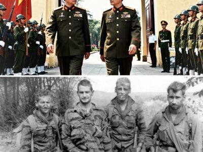What Vietnamese High Command Said When They Actually Realized How Good Australian SAS Was