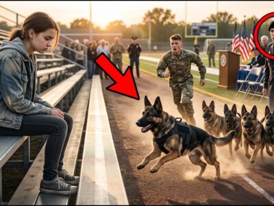 They Said She Didn’t Belong There, Judging the Quiet Woman as an Outsider at the Ceremony — But Their Doubts Disappeared When Every Military K9 Suddenly Ran Toward Her. The entire crowd froze as the highly trained dogs showed a connection no one could explain. What seemed like an ordinary stranger turned out to be someone with a remarkable history and a hidden bond with the K9 community. In that unforgettable moment, the truth behind her arrival was revealed, leaving everyone who doubted her completely stunned.