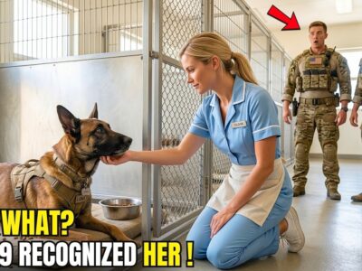 A Military K9 Had Refused Every Meal Since His SEAL Handler Died, Ignoring Trainers, Medics, and Commanders—Then a Rookie Waitress Entered the Facility, and the Grieving Dog Suddenly Stood Up Like He Recognized Something Everyone Else Had Missed