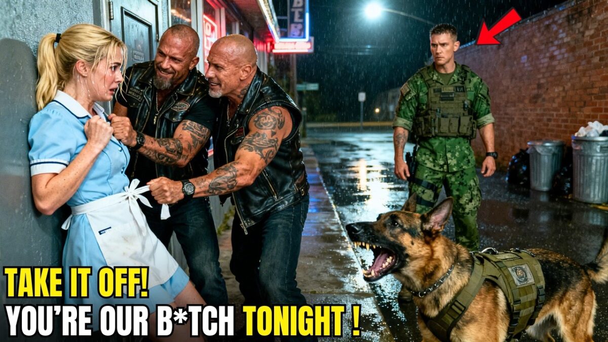They Cornered a Defenseless Woman and Warned Her Not to Scream, Certain Nobody Would Interfere—But They Never Realized a Navy SEAL Veteran and His Trained K9 Were Watching From Nearby and Had Already Noticed Every Detail