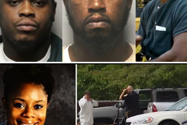 Cold Cases That Were Solved With Insane Twists | Story