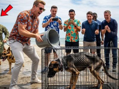 Rich Brats Abused a Frail Dog — Unaware It Was a legendary Navy SEAL’s Former Service K9