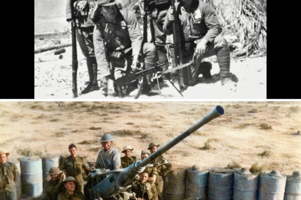 Japanese Snipers Were Terrified When They Realized U.S. Marines Used 40mm Cannons to Shoot Them Down