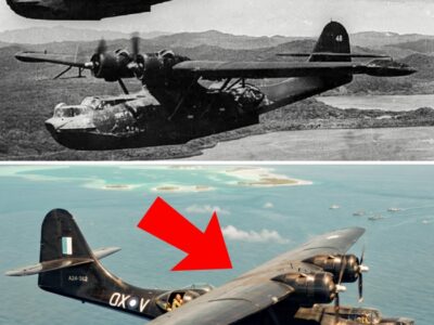 Why Japanese Ships Were Ordered NEVER to Fire at the “Black Cats”