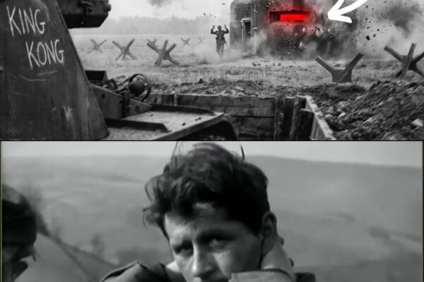 This 155mm Gun Was Built to Never See a Target — Then It Cracked “Impregnable” Bunkers Point-Blank