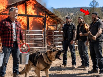 Thugs Destroyed a Quiet Farmer’s Shelter—Unaware He Was a Top Navy SEAL Assassin