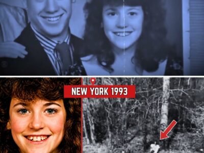 New York 1993 Cold Case Solved — Arrest Shocks Community