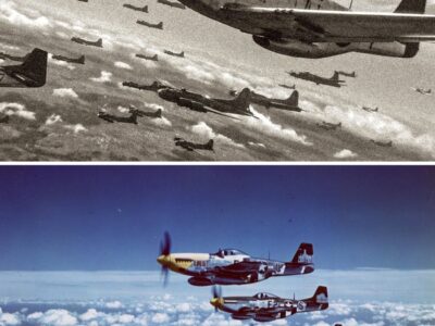 German Pilots Laughed At Unescorted American Bombers, Until P-51 Mustangs Escorted Them To Berlin