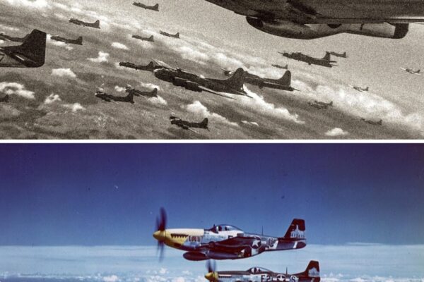 German Pilots Laughed At Unescorted American Bombers, Until P-51 Mustangs Escorted Them To Berlin