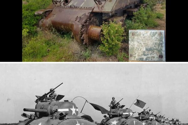 What REALLY Happened to America’s 49,000 Sherman Tanks After WW2