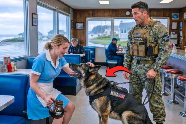 Navy Spent 10 Years Looking for Her — Until a K9 Sat at the Waitress’s Feet and Refused to Move