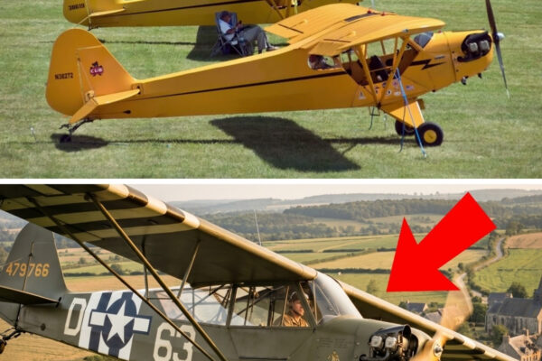 Why German Troops Were Ordered to NEVER Shoot at the Piper L-4