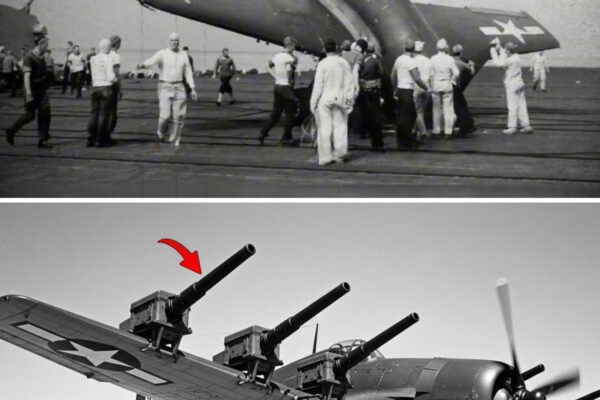 They Sent 2 Pilots Against 60 Japanese Fighters — His Engine Died the Second He Landed