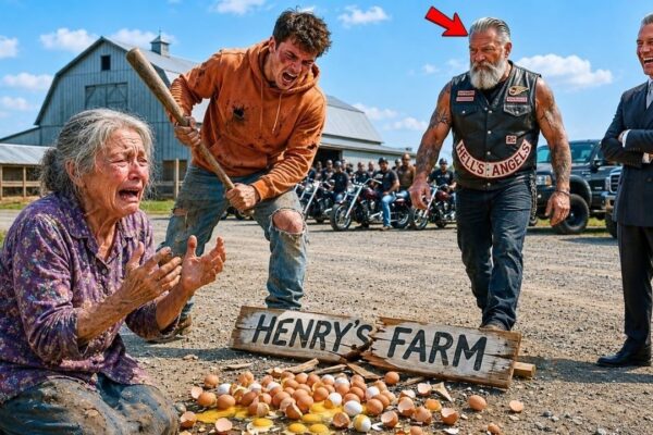 They Destroyed a Widow’s Farm for Money — Then Hells Angels Exposed the Shocking Truth