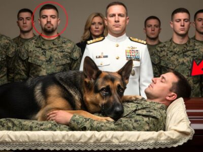 The K9 Did Not Leave the Seal’s Coffin — What the Navy Discovered Next Shocked Everyone!