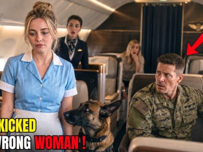 They Threw a Waitress and Her K9 Out of First Class — Until the SEAL Commander Stood Up 