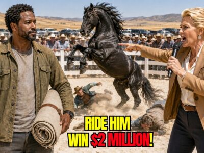 Rich Rancher Dared a Black Homeless to Ride His Horse for $2M —The Biggest Mistake of Their Lives