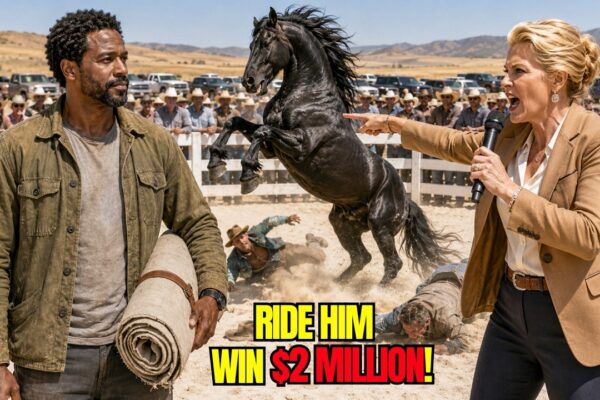 Rich Rancher Dared a Black Homeless to Ride His Horse for $2M —The Biggest Mistake of Their Lives
