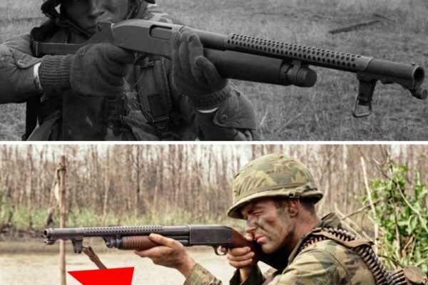 The HORRORS of the Ithaca 37 in the Mekong Delta — Why the VC Feared Navy SEALs