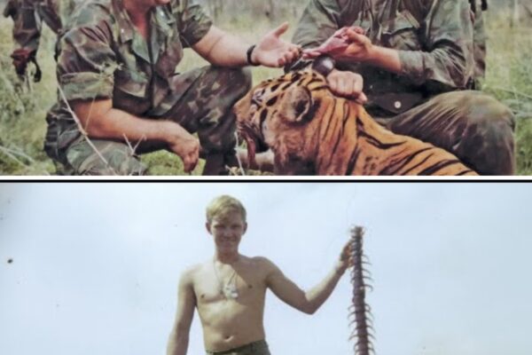 Vietnam’s MOST DEADLY Wildlife That Terrified US Soldiers — The Jungle Dangers Nobody Expected