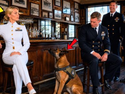A SEAL Mocked Me At The Coronado Bar—Then His Squadron’s K9 Heard My Voice And Sat At Heel 