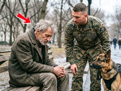 Marine and His K9 Find His ‘Dead’ Father Homeless — Why He Disappeared Changed Everything 