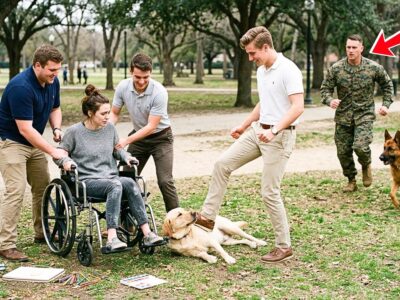 Rich Kids Bullied a Woman in Wheelchair and Hurt Her Dog – Until a Marine’s K9 Stepped In 