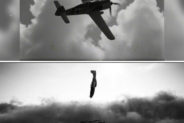 Why Would a P-51 Dive Straight Into Eight Fighters