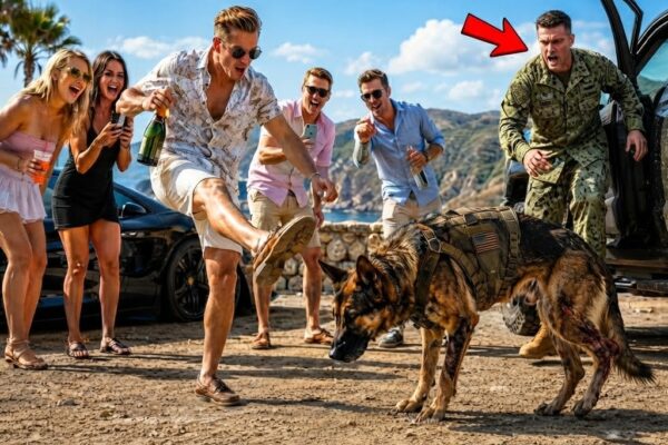 Drunk Rich Kids Kicked a Limping War Dog — They Didn’t Know His SEAL Was Watching From His Truck…