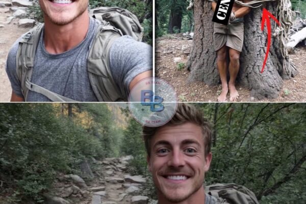 Tourist Vanished On Appalachian Trail – 3 Year Later Found TIED To TREE, Repeating ONE PHRASE… 
